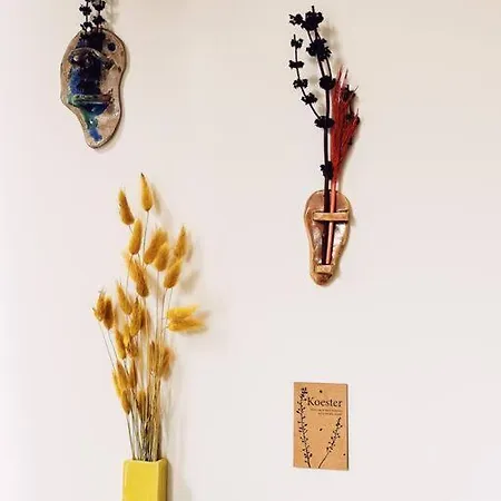 Historic Center Walk To Everything