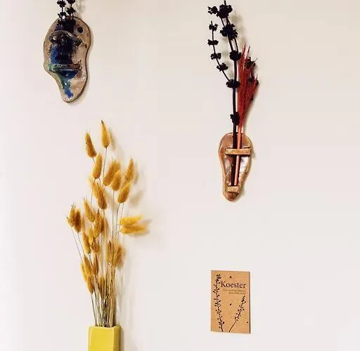 Historic Center Walk To Everything